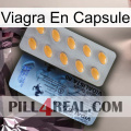 Viagra Capsule 44